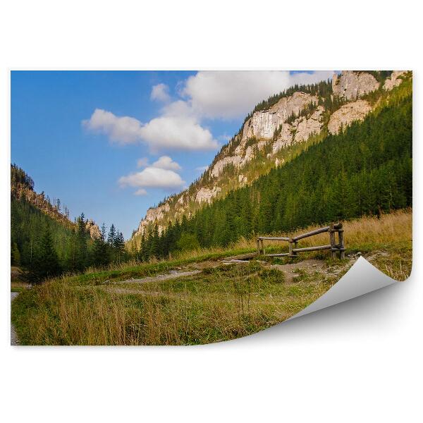 Fototapeta Tatry sneh les tráva cesta