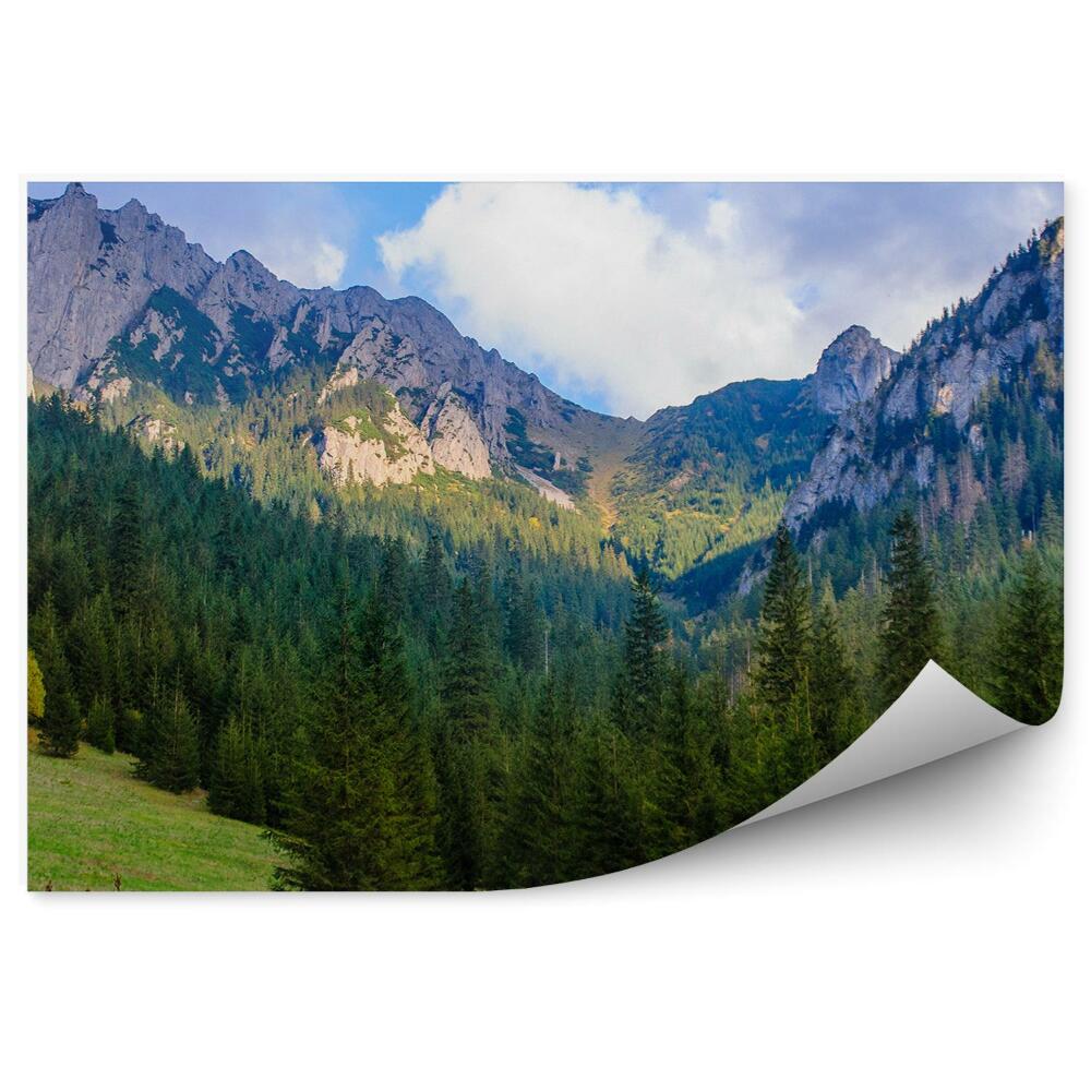 Fototapeta na stenu Tatry sneh stromy les trávy obloha mraky