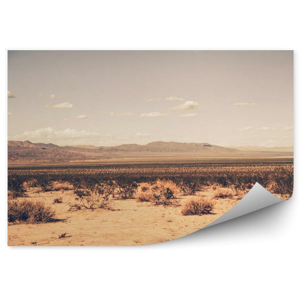 Fototapeta na stenu Južná Kalifornská Púšť