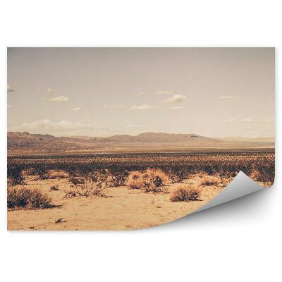 Fototapeta na stenu Južná Kalifornská Púšť
