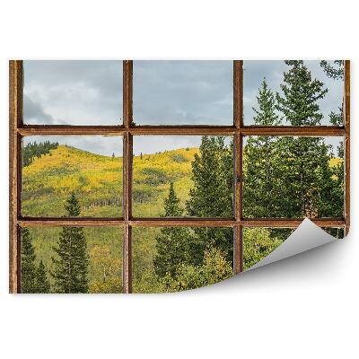 Fototapeta Vianočný stromček hory zelená vegetácia za oknom