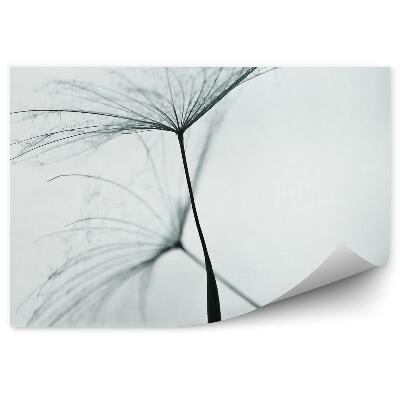 Fototapeta na stenu Semenáčiky Kvetov Púchovca