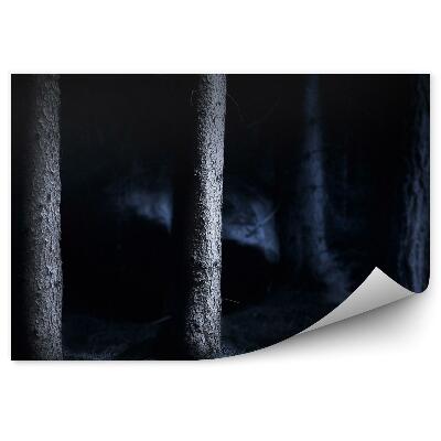 Fototapeta na stenu Les v noci