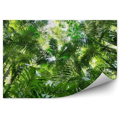 Fototapeta Listy džungle