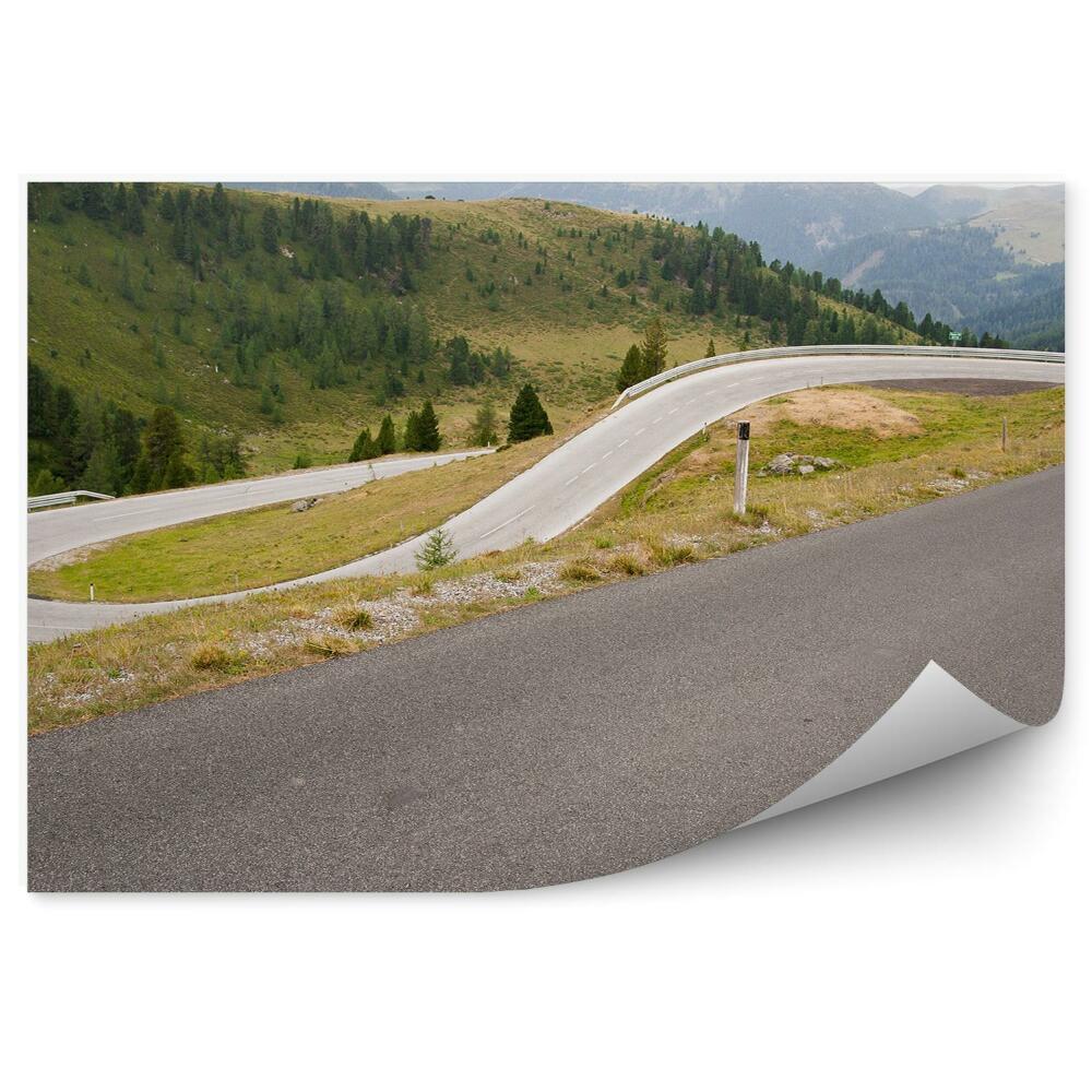 Fototapeta na stenu Cesta ihličnaté hory alpy