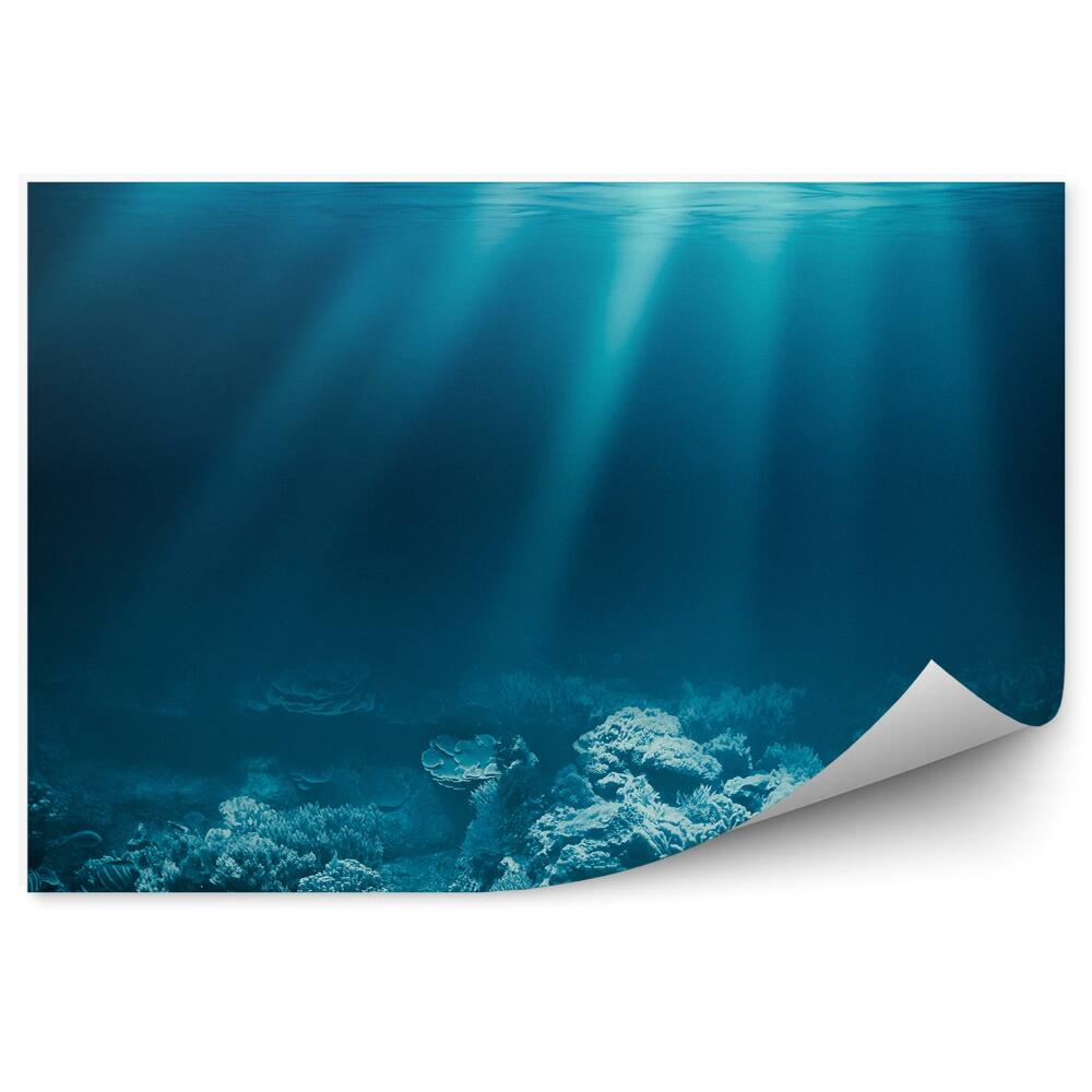 Fototapeta Dno Oceánu Koralový Útes Slnko