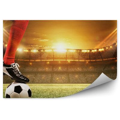 Fototapeta Nogometni stadion nogometni semafor