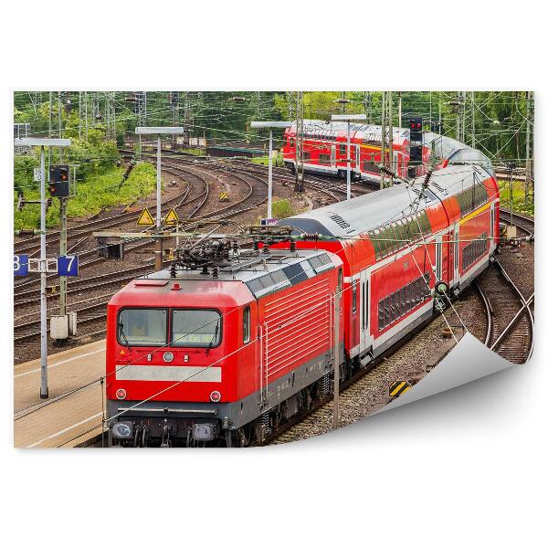 Fototapeta na stenu Regionalni ekspresni vlak v Hamburgu