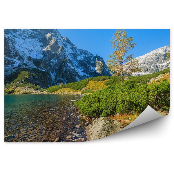 Fototapeta na stenu Zelená vodná plocha v Morskom oku v Tatrách