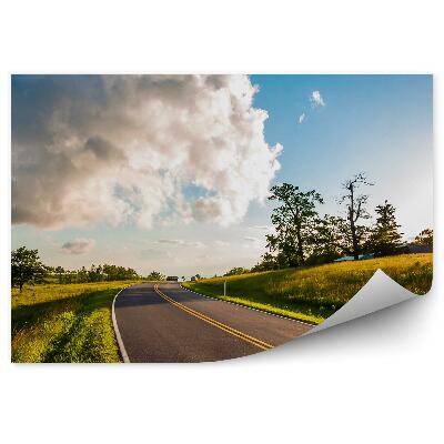 Fototapeta na stenu Cesta Ulica Obloha Mraky Stromy Tráva Slnko