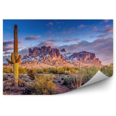 Fototapeta Krajina hôr v Arizone