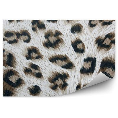 Fototapeta Škvrnitý panter