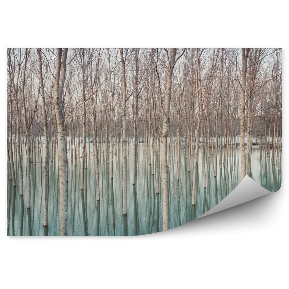 Fototapeta na stenu Brezy v zaplavenej dedine prírodný vzor