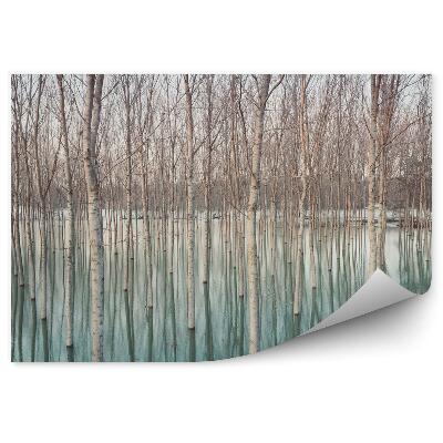 Fototapeta na stenu Brezy v zaplavenej dedine prírodný vzor