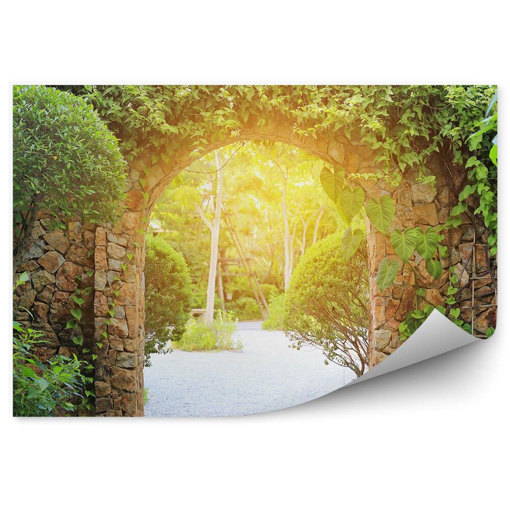 Fototapeta Oblúk Na Stene Pokrytý Brečtanom