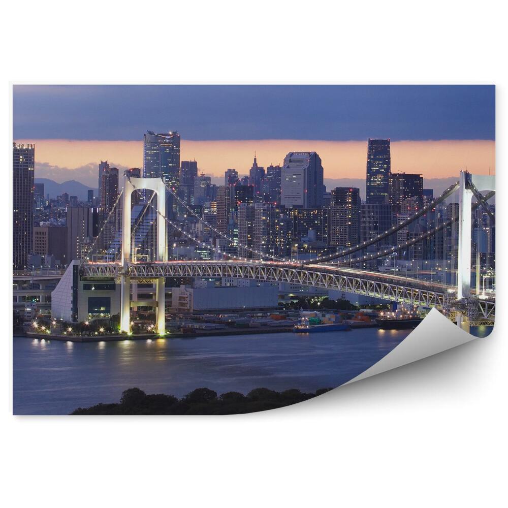 Fototapeta Mrakodrapy most oceán nočné mraky Tokio Japonsko