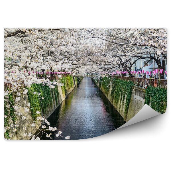 Fototapeta na stenu Kanál Meguro Jarné Kvety Stromy Tokio