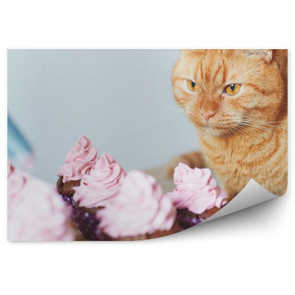 Fototapeta Sladké pečivo dezertné cupcakes mačka