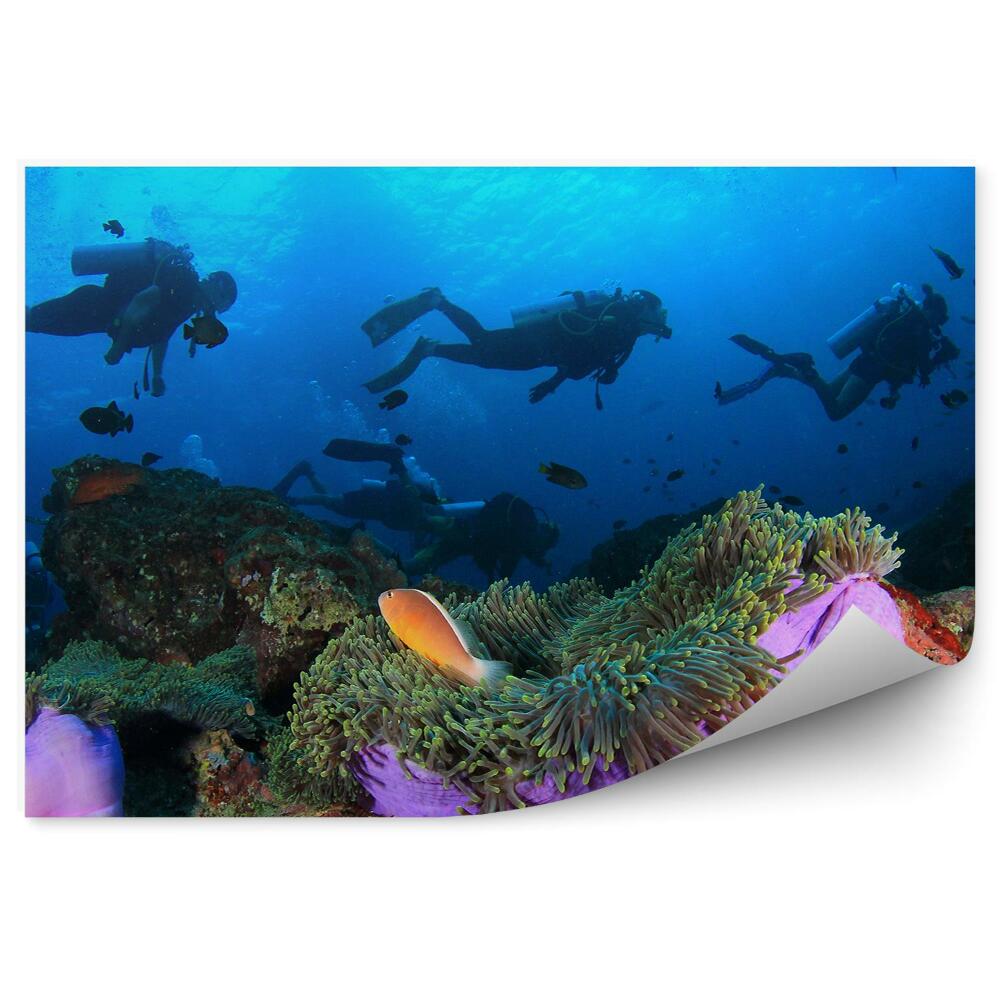 Fototapeta Potápači húfy rýb sasanky