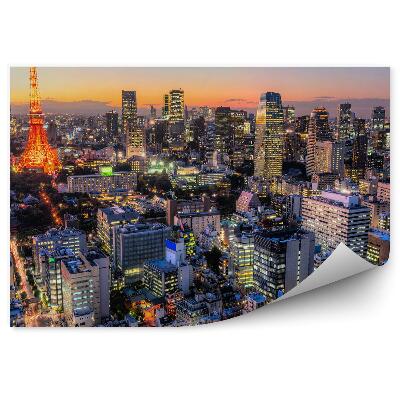 Fototapeta na stenu Tokio Japonsko Panoráma Mesta Budovy Svetlá