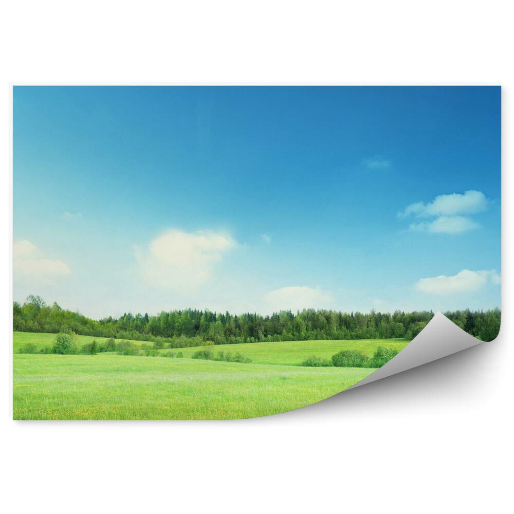 Fototapeta na stenu Tráva pole stromy vegetácia