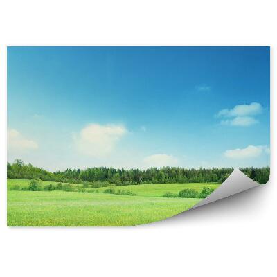 Fototapeta na stenu Tráva pole stromy vegetácia