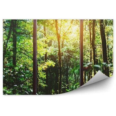 Fototapeta na stenu Veľké okno s výhľadom na zelenú lesnú vegetáciu