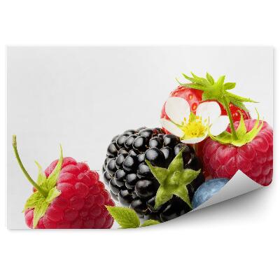 Fototapeta Letné bobule ostružina malina čučoriedka kvet