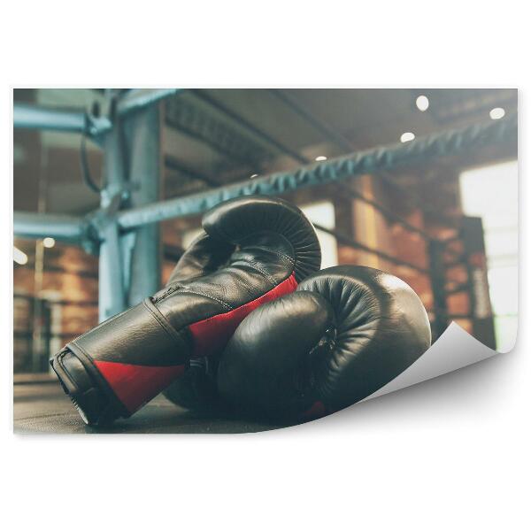 Fototapeta Boksarske rokavice ring