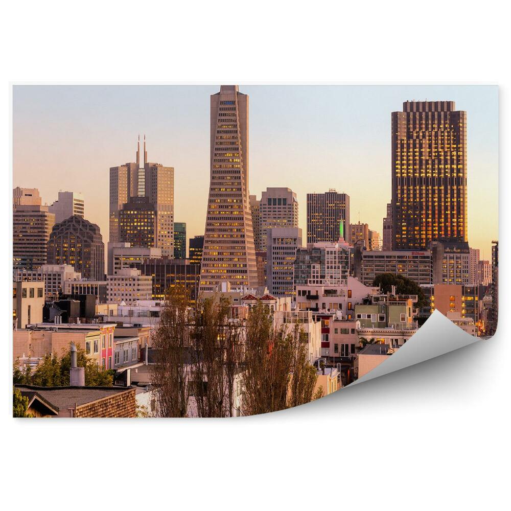 Fototapeta Mrakodrapy kalifornské budovy svetlá stromy