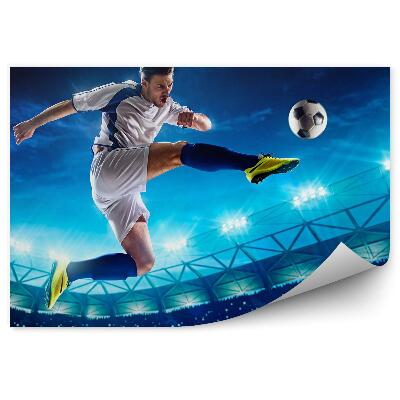 Fototapeta na stenu Igralec odbojke na stadionu