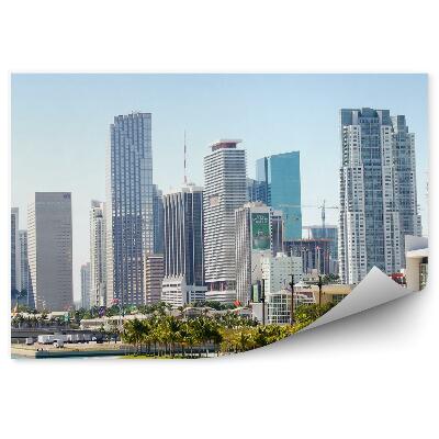 Fototapeta Mrakodrapy palmy oceán most obloha centrum mesta miami