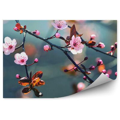 Fototapeta na stenu Ružové Kvety Čerešne Oranžové Listy Sivé Pozadie