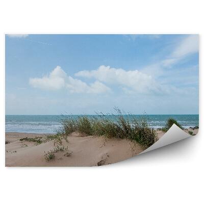 Fototapeta na stenu Duny púštna tráva oceán morská obloha mraky