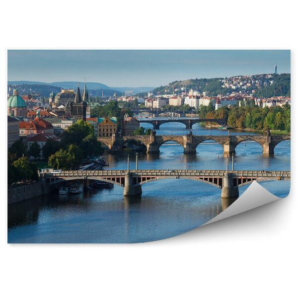 Fototapeta Praga mesto mostovi vltava hribi