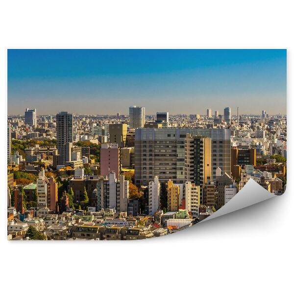 Fototapeta na stenu Mrakodrapy obloha Tokio Japonsko