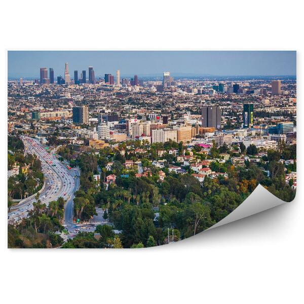 Fototapeta na stenu Letecký pohľad Los Angeles stromy cesty autá