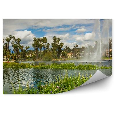 Fototapeta Tráva fontány palmy príroda mesto