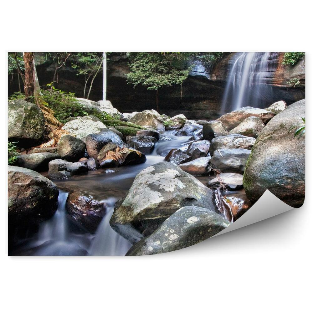 Fototapeta na stenu Vodopád kamene rastliny