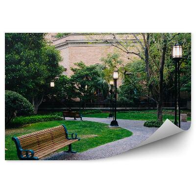 Fototapeta na stenu Park v centre mesta zeleň