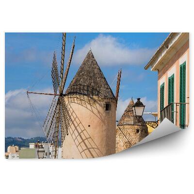 Fototapeta Mestne zgradbe pokrajina mlin na veter