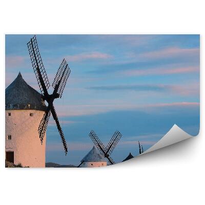 Fototapeta na stenu Mlini na veter obseg narava arhitektura