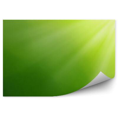 Fototapeta na stenu Zelené pevné pozadie žiara svetla