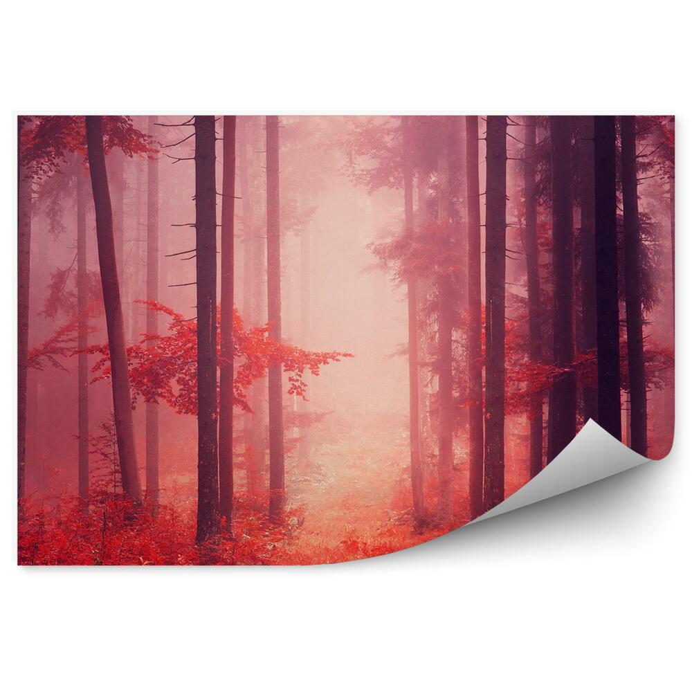 Fototapeta Hmla víla červený les stromy