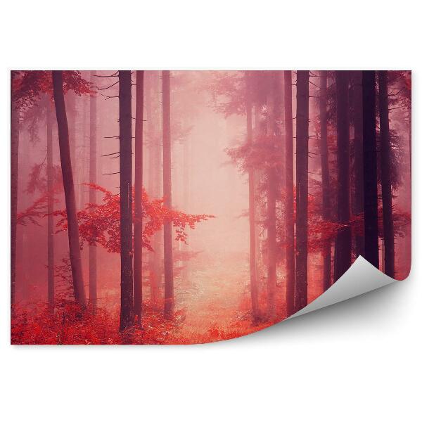 Fototapeta Hmla víla červený les stromy