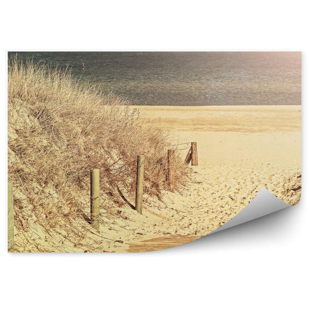 Fototapeta na stenu Retro Pláž Lávka Tráva Oceán