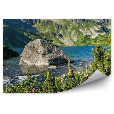 Fototapeta Dolina piatich tatranských jazier