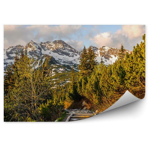 Fototapeta na stenu Hala gąsienicowa tatry hory obloha mraky stromy