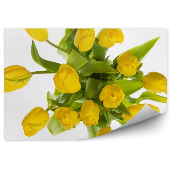 Fototapeta Jemné Žlté Tulipány