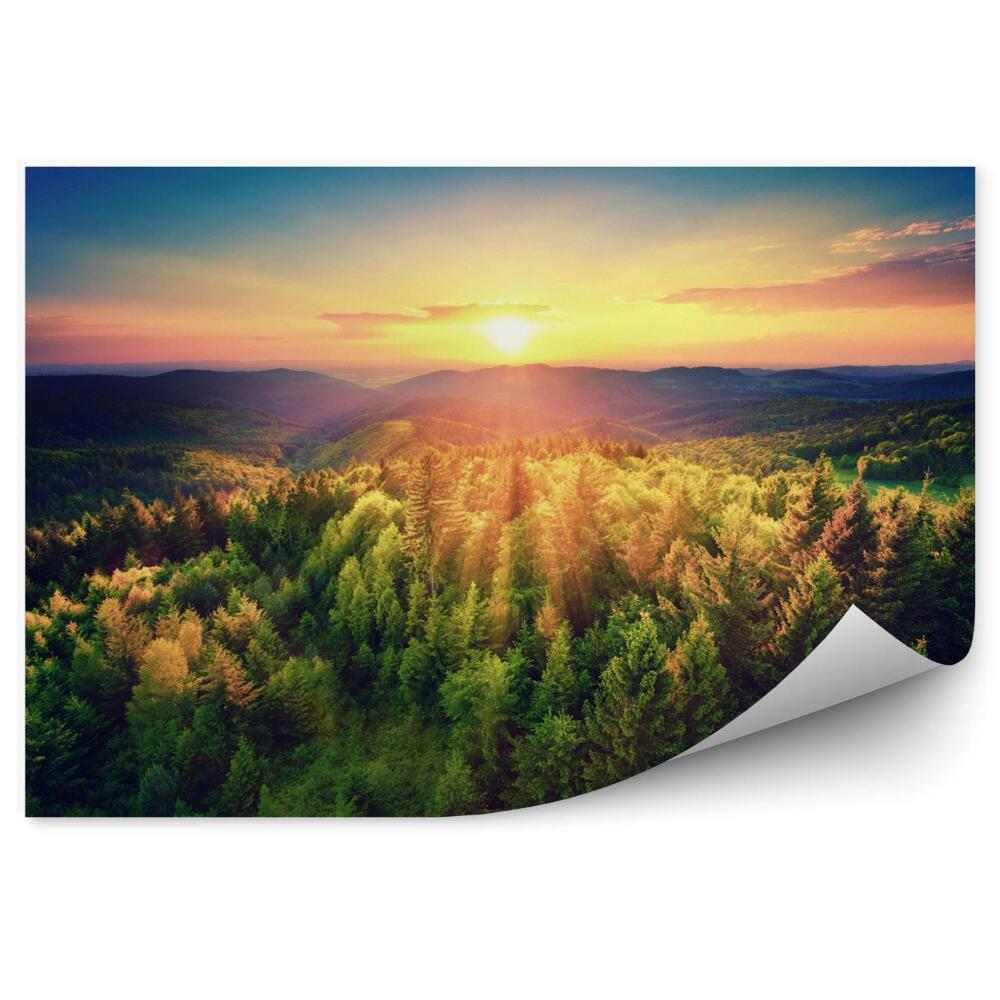 Fototapeta Západ slnka nad lesom